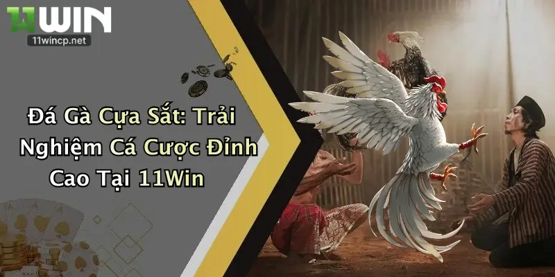 Đá Gà Cựa Sắt: Trải Nghiệm Cá Cược Đỉnh Cao Tại 11Win