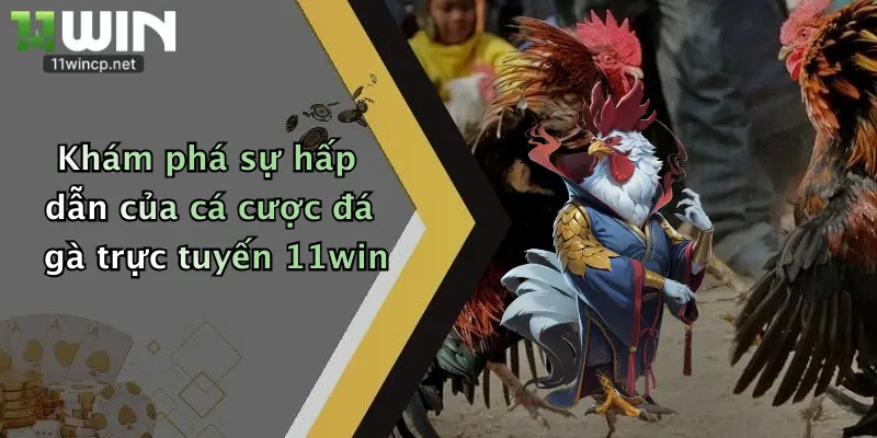 Khám phá sự hấp dẫn của cá cược đá gà trực tuyến 11win