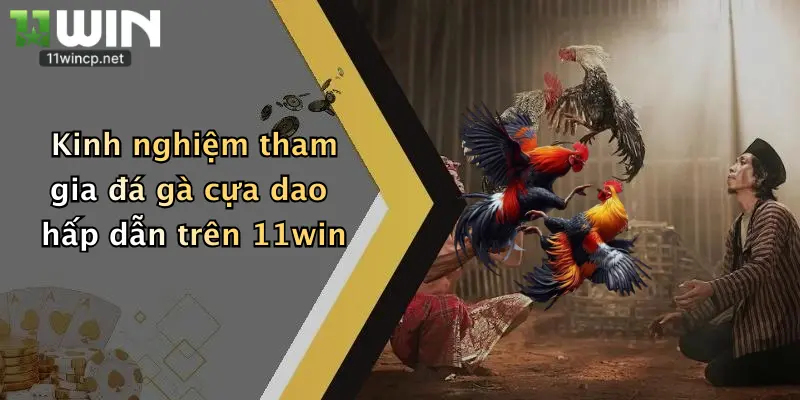Kinh nghiệm tham gia đá gà cựa dao hấp dẫn trên 11win