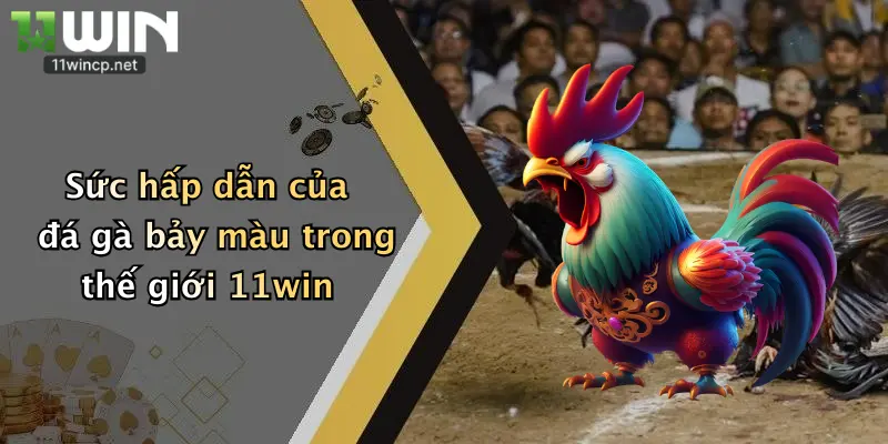 Sức hấp dẫn của đá gà bảy màu trong thế giới 11win