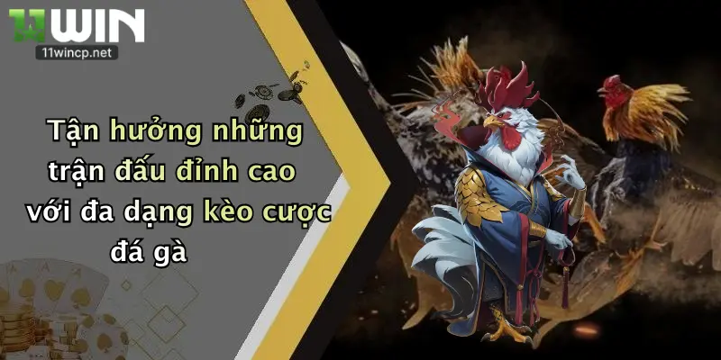 Tận hưởng những trận đấu đỉnh cao với đa dạng kèo cược đá gà