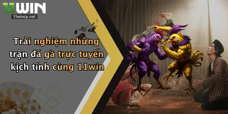 Trải nghiệm những trận đá gà trực tuyến kịch tính cùng 11win